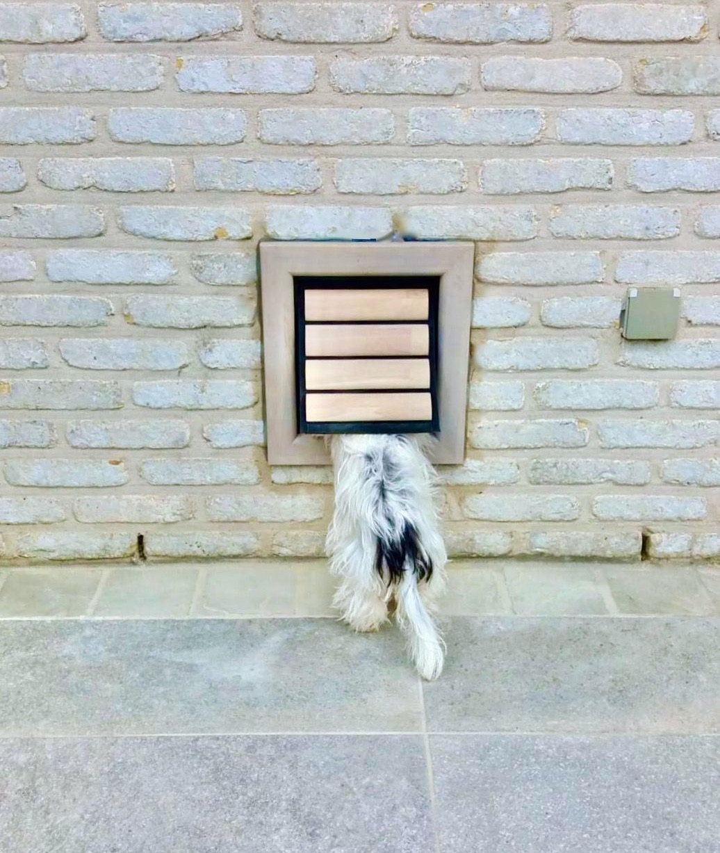 Trappes pour chien | Nipper (Small) en bois gris pour petits chiens installée dans un mur de briques grises | © Tomsgates