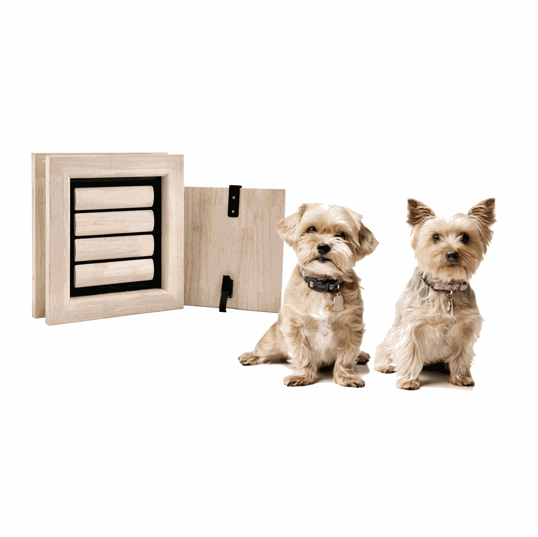 Dog Flap | Dog Door | Nipper (Small) dog flap for small dogs | fits in doors and walls | Yorkshire Terrier, Shih Tzu, French Bulldog, King Charles Spaniel, Maltese, Pug, Skipper, Brison Frisé, Chihuahua | © Tomsgates