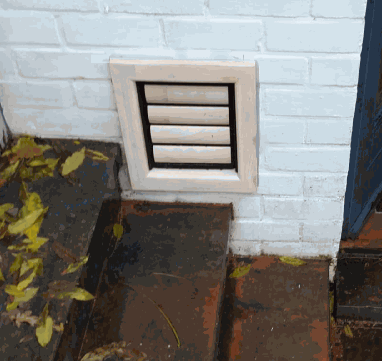 Cat Flap | Cat Door | Nipper (Small) White wooden cat flap and dog flap for small dogs installed in a wall on a staircase | © Tomsgates